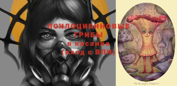 а пвп мука Пересвет