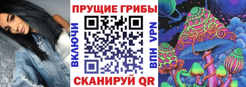 как найти закладки  Сокол  Галлюциногенные грибы Psilocybe 